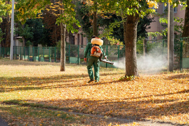 Reliable Green, OR Pest Control Solutions